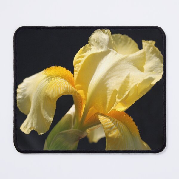 Item preview, For All Mothers Everywhere designed and sold by SummerJade.