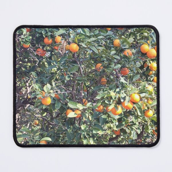 Aperçu de l'œuvre Les oranges créée et vendue par Maitedo.
