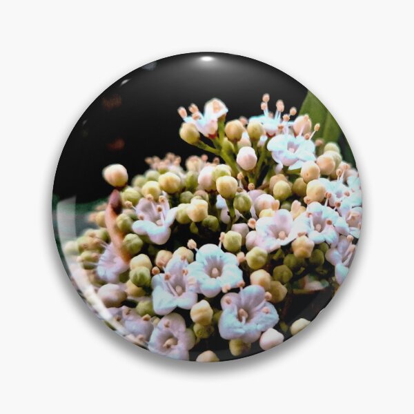 Item preview, Buds designed and sold by ontological.