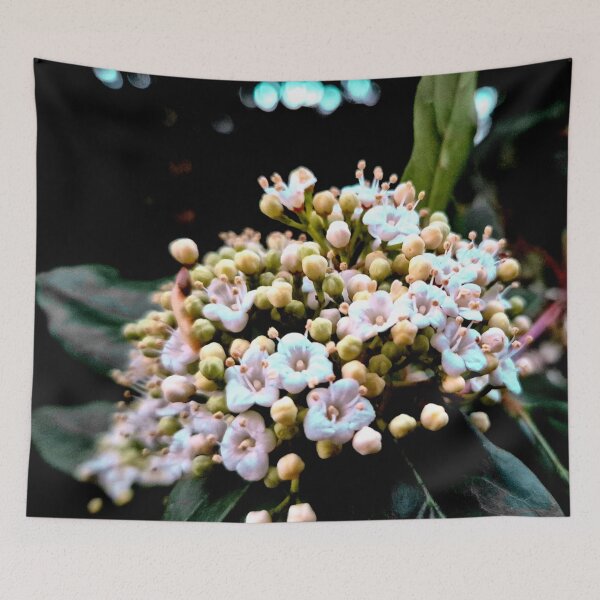 Item preview, Buds designed and sold by ontological.