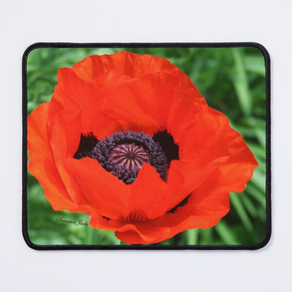 Item preview, In Flanders Fields the Poppies Blow designed and sold by SummerJade.