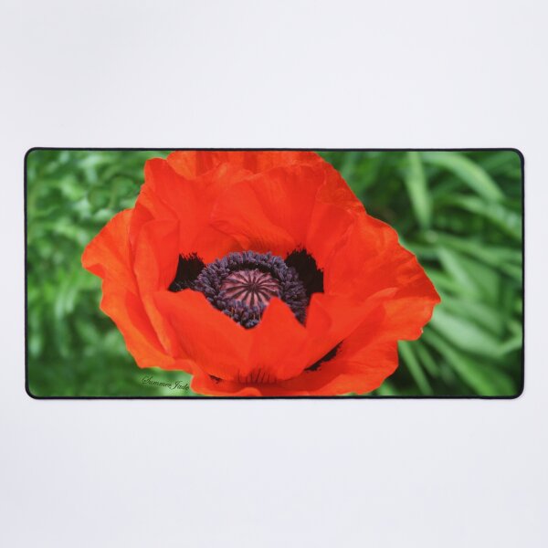 Item preview, In Flanders Fields the Poppies Blow designed and sold by SummerJade.