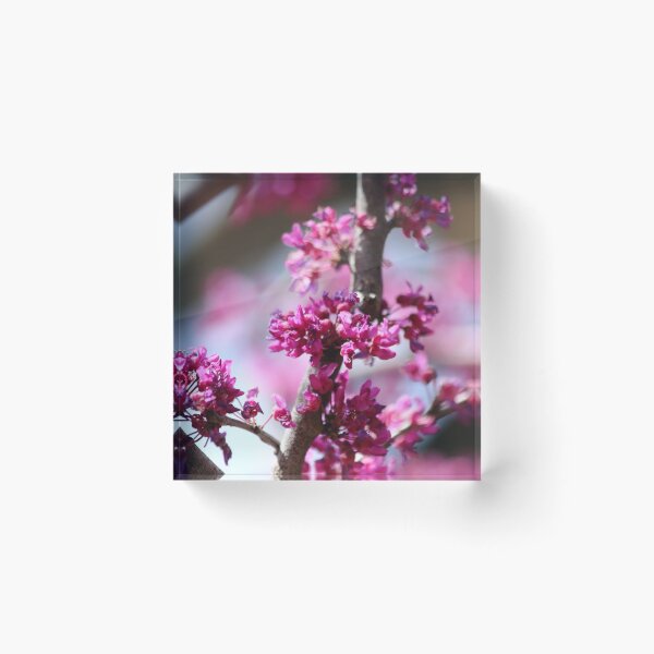 Item preview, So much pink designed and sold by Olivia Plasencia.