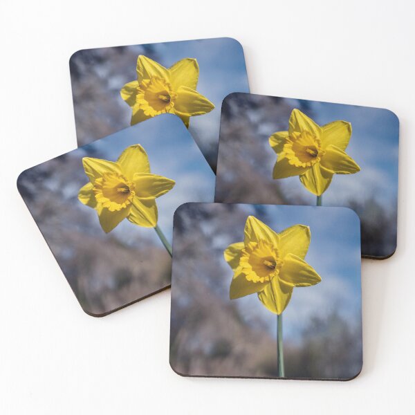 Item preview, Daffodil designed and sold by Tom McPherson Photography.