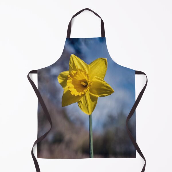 Item preview, Daffodil designed and sold by Tom McPherson Photography.