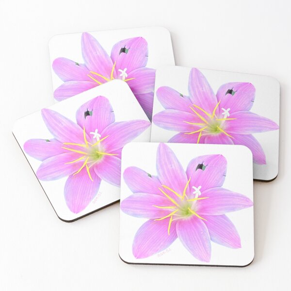 Item preview, Pink Rain Lily designed and sold by Josephine Ethereal.