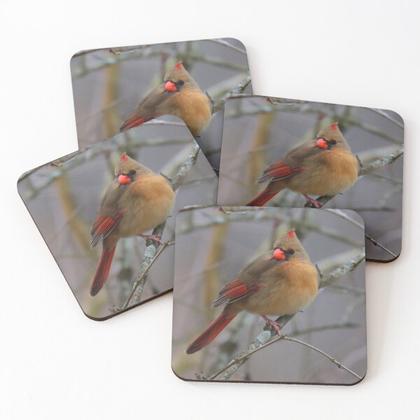 Item preview, Female Cardinal  designed and sold by Parks and X.