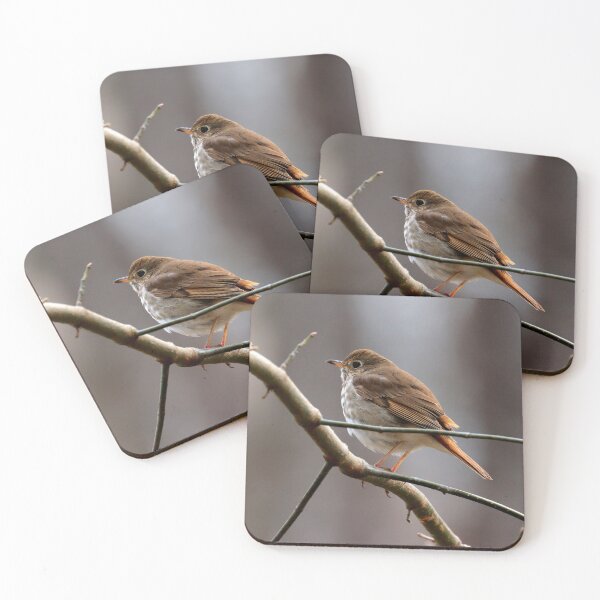 Item preview, Hermit thrush  designed and sold by Parks and X.