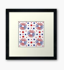 July 4th Celebration Framed Print