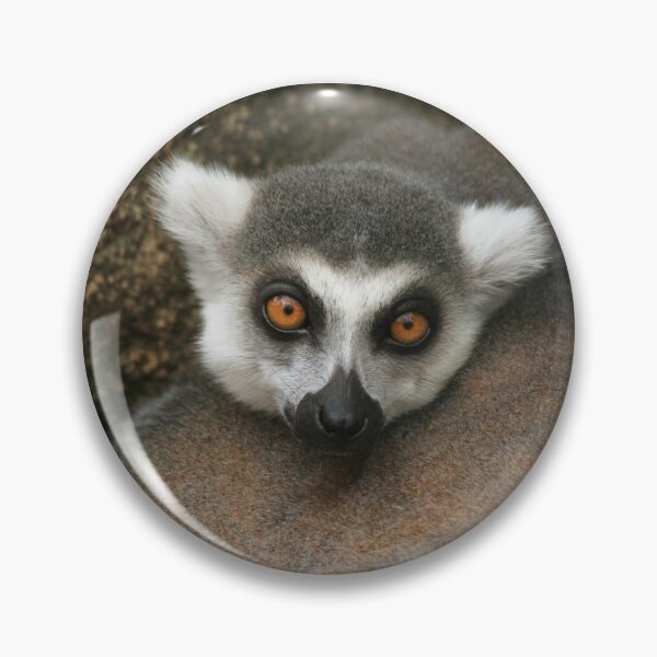 Item preview, Cosy Lemur designed and sold by STGEEVES.