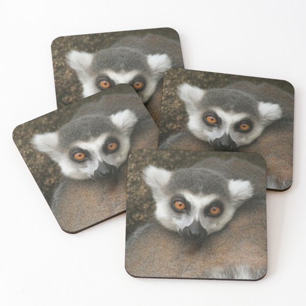 Item preview, Cosy Lemur designed and sold by STGEEVES.