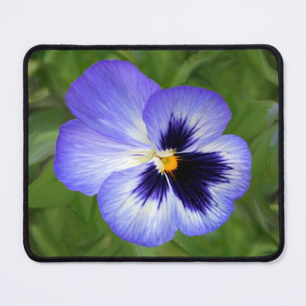 Item preview, Midnight Blue Pansy designed and sold by SummerJade.