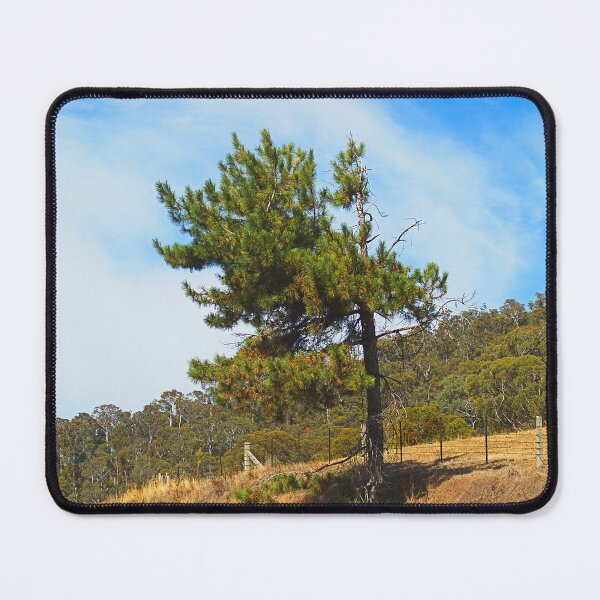 Item preview, Tree Is Hanging On designed and sold by Joy Watson - Natural Light Photography .