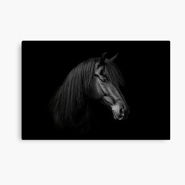 Item preview, "Whisper of the Night" showcases the stunning elegance of a black horse designed and sold by Valerie Duran - For The Love of a Horse.