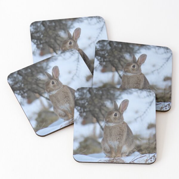Item preview, Aoraki (Wild Hare) designed and sold by TokyoChick.