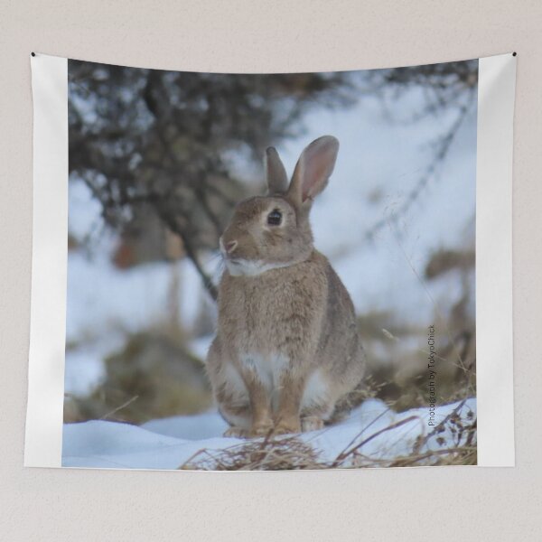 Item preview, Aoraki (Wild Hare) designed and sold by TokyoChick.