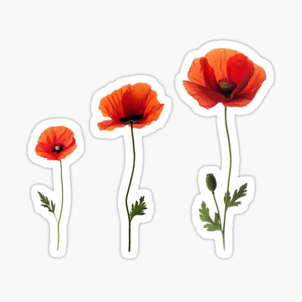 Item preview, Minimalist Red Poppy Flowers – Elegant Floral Trio designed and sold by AchaRat.