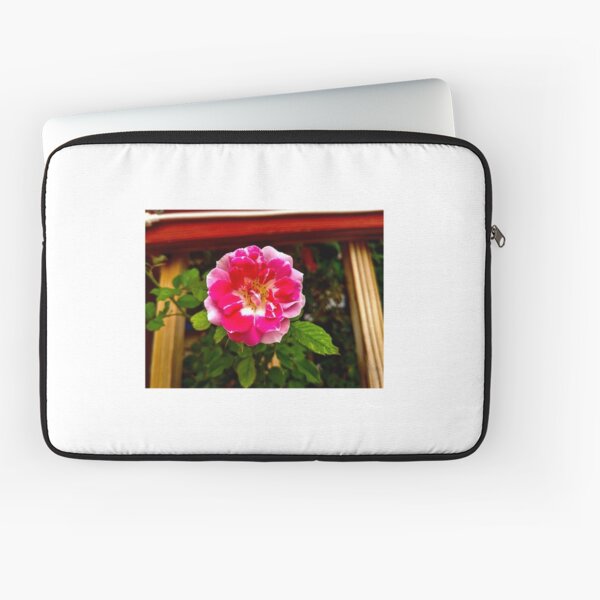 Vista previa del artículo con la obra «Rosa rosada», diseñado y vendido por Fatboy0699.
