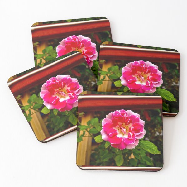Item preview, Pink Rose designed and sold by Fatboy0699.