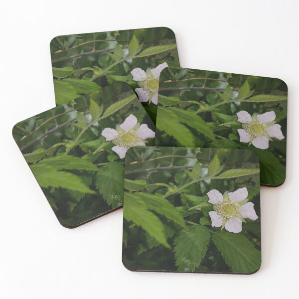 Item preview, White flower (Rubus rosifolius) wallpaper  ||  Flower Photography designed and sold by Yusuf-Design.