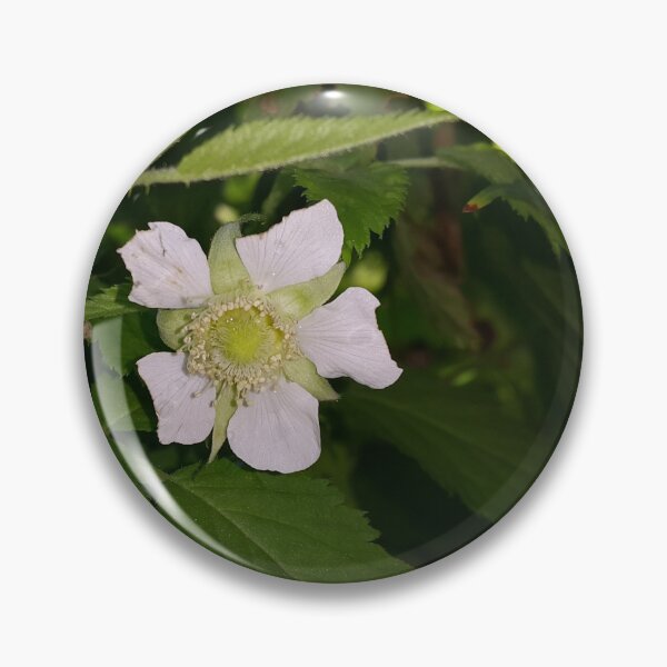 Item preview, Evergreen shrub with white flowers designed and sold by Yusuf-Design.