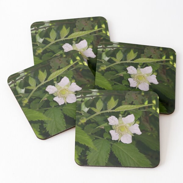 Item preview, Evergreen shrub with white flowers designed and sold by Yusuf-Design.