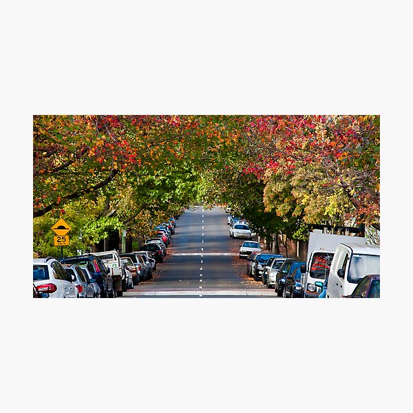 Item preview, Autumn in Erskineville designed and sold by Alexander Meysztowicz-Howen.