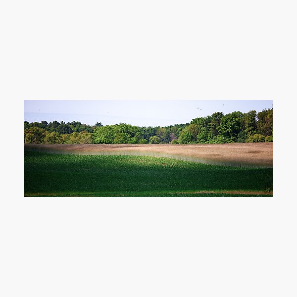 Item preview, Rolling Farmland designed and sold by Mark  Spowart.