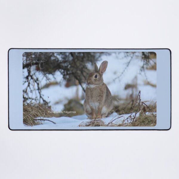 Item preview, Aoraki (Wild Hare) designed and sold by TokyoChick.
