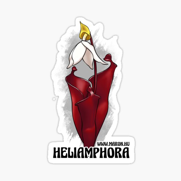 Aperçu de l'œuvre Héliamphora - 2 créée et vendue par CPArtShop.