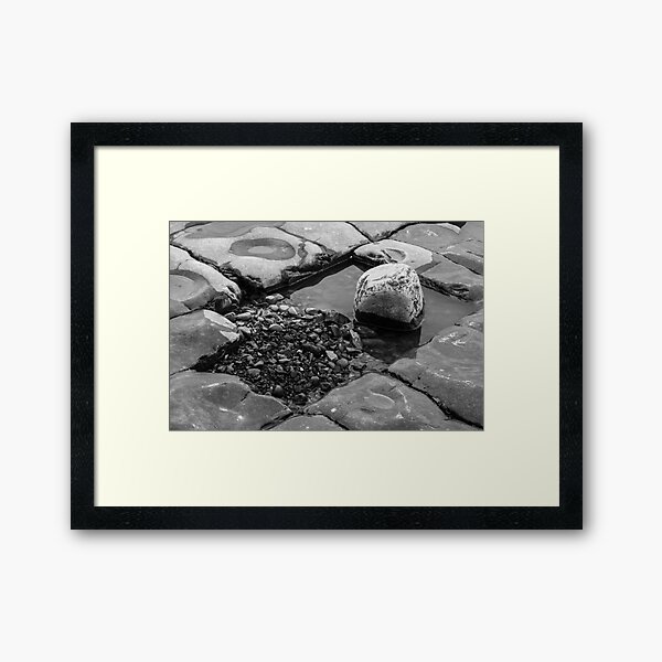 Rock Pool Framed Art Print