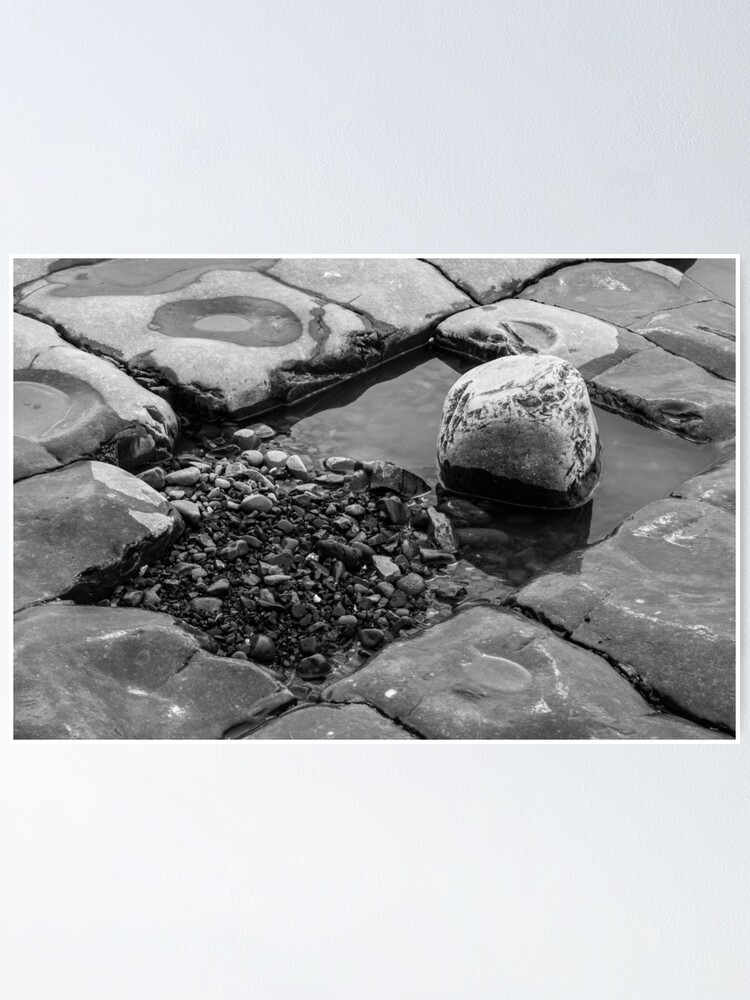 Alternate view of Rock Pool Poster