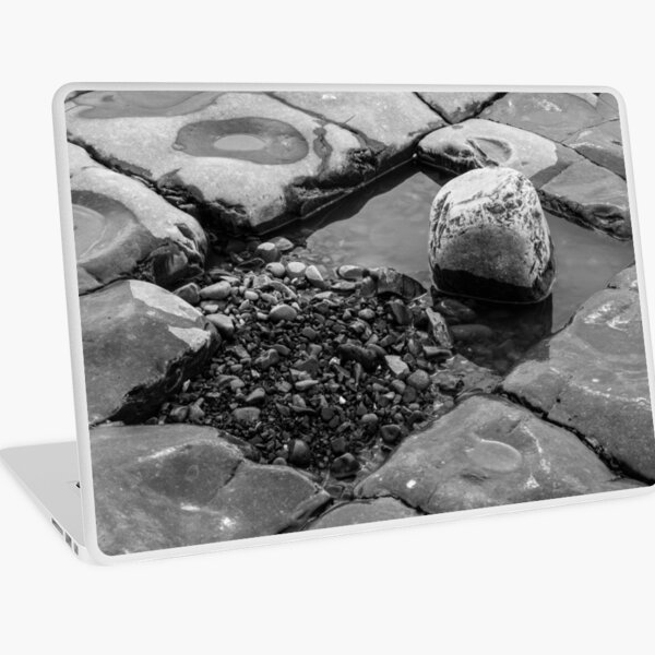 Rock Pool Laptop Skin