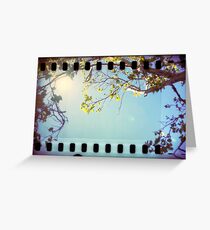the light Greeting Card