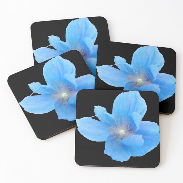 Item preview, Beautiful and Colorful Flower in Full Bloom designed and sold by Nicoladenisa71.