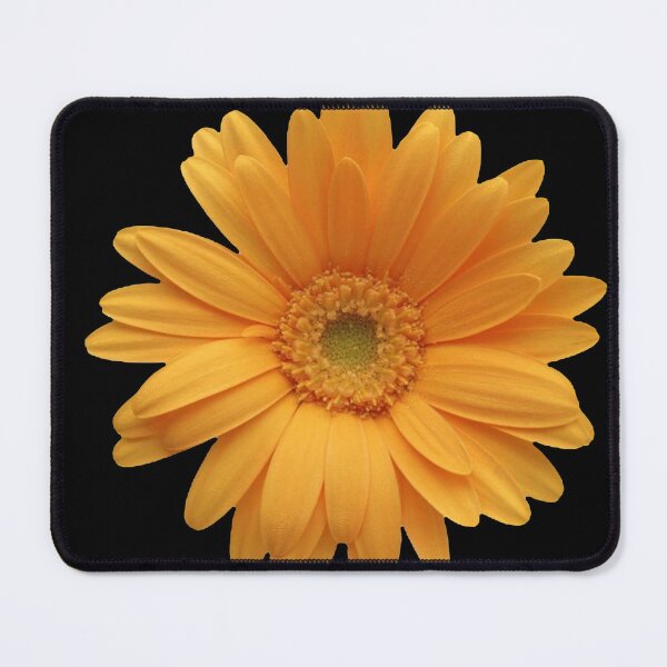 Item preview, Beautiful and Colorful Flower in Full Bloom designed and sold by Nicoladenisa71.