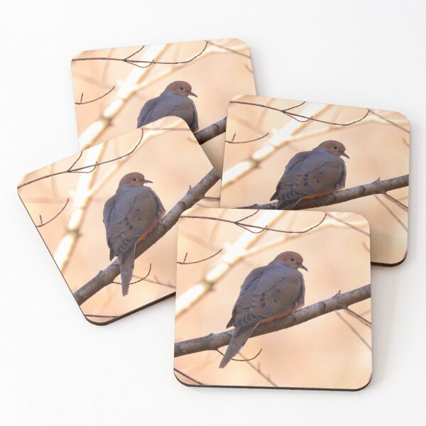Item preview, Mourning dove designed and sold by Parks and X.