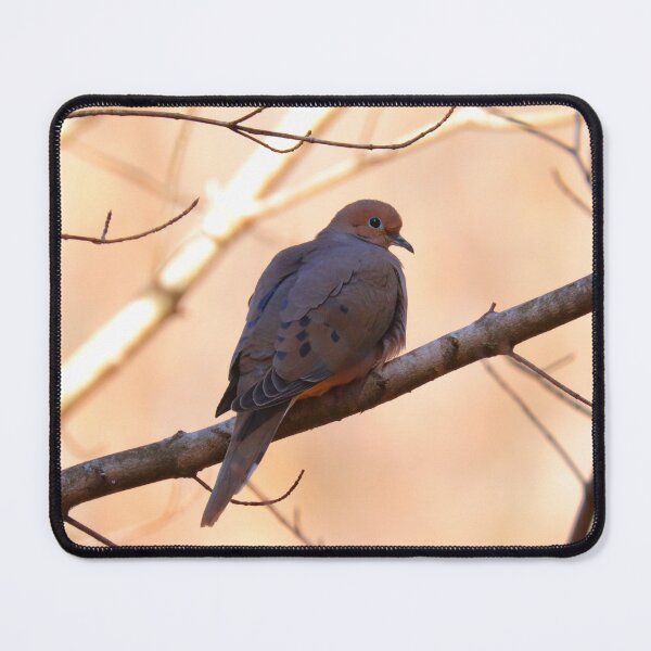Item preview, Mourning dove designed and sold by Parks and X.