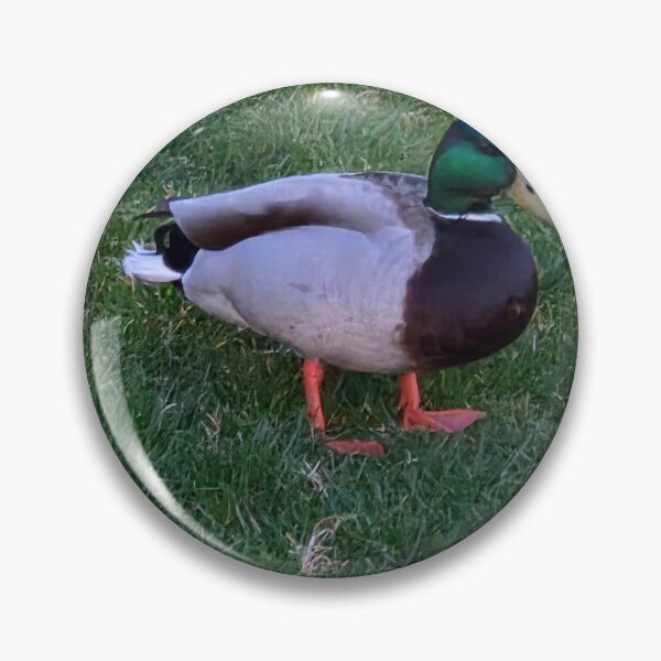 Item preview, Friendly Fowl designed and sold by TarrejB.