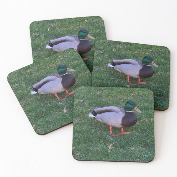 Item preview, Friendly Fowl designed and sold by TarrejB.