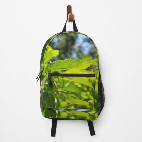 Item preview, The beauty of the view of light green leaves and the beautiful sky background designed and sold by Yusuf-Design.