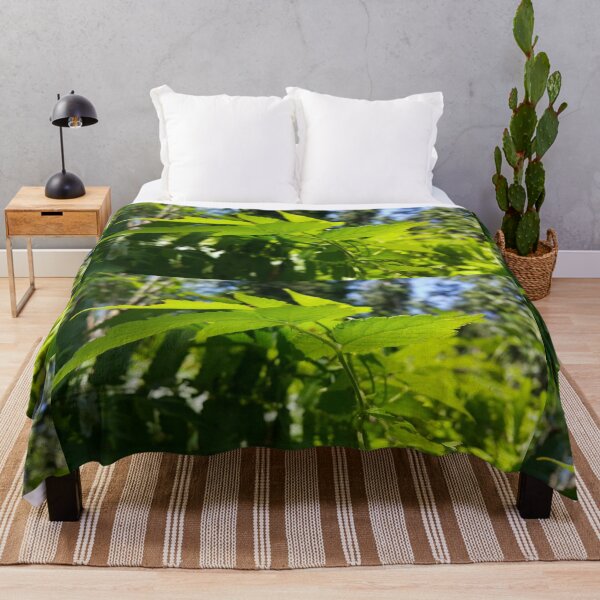 Item preview, The beauty of the view of light green leaves and the beautiful sky background designed and sold by Yusuf-Design.