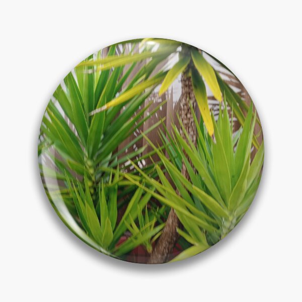 Item preview, Palm tree designed and sold by starv10.