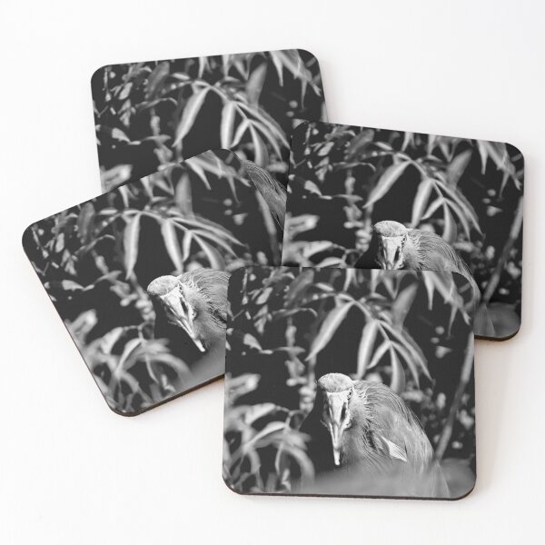 Item preview, Tri-Color Heron Nesting Black And White designed and sold by MercerImages.