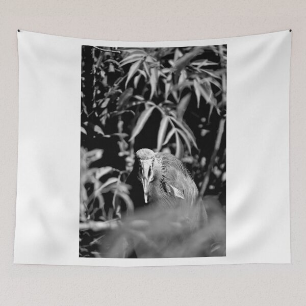 Item preview, Tri-Color Heron Nesting Black And White designed and sold by MercerImages.