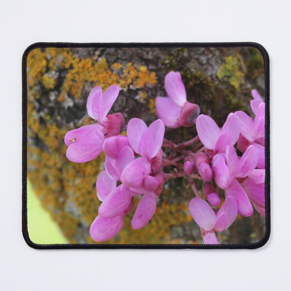 Item preview, Art by Mike Photography Photo Botany Flowers Moss on Tree Trunk designed and sold by allartbymike.