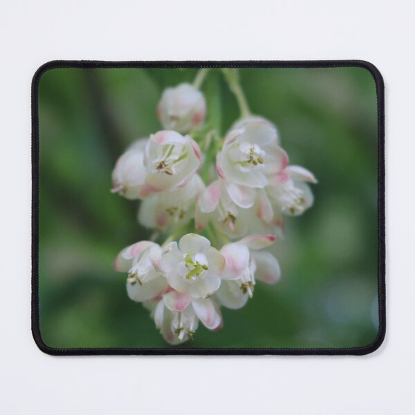 Item preview, Art by Mike Photography Photo Botany Flowers Moss on Tree Trunk designed and sold by allartbymike.