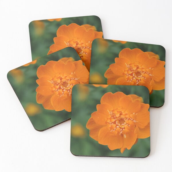 Item preview, Art by Mike Photography Photo Botany Flowers Blossom designed and sold by allartbymike.
