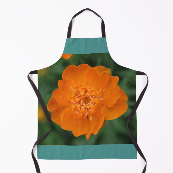 Item preview, Art by Mike Photography Photo Botany Flowers Blossom designed and sold by allartbymike.