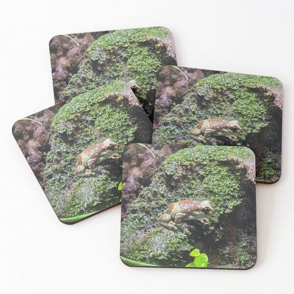 Item preview, Milk Frog  designed and sold by cherrynat1.